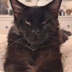 WhatsApp Image 2026-01-04 at 18.21.37