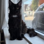 WhatsApp Image 2026-01-04 at 18.21.37 (3)