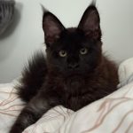 WhatsApp Image 2026-01-04 at 18.21.38 (1)