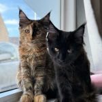 WhatsApp Image 2026-01-04 at 18.21.38