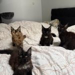 WhatsApp Image 2026-01-04 at 18.21.38 (2)