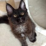 WhatsApp Image 2026-01-04 at 18.21.38 (4)