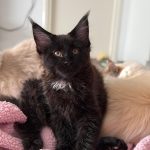 WhatsApp Image 2026-01-04 at 18.21.39 (1)