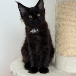 WhatsApp Image 2026-01-04 at 18.21.39