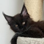 WhatsApp Image 2026-01-04 at 18.21.39 (3)