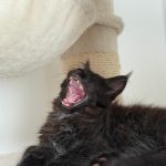 WhatsApp Image 2026-01-04 at 18.21.40