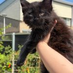 WhatsApp Image 2026-01-04 at 18.21.40 (2)