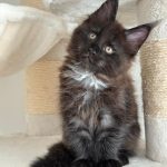 WhatsApp Image 2026-01-04 at 18.21.43