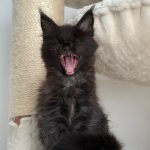 WhatsApp Image 2026-01-04 at 18.21.44 (1)