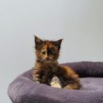 WhatsApp Image 2026-01-04 at 18.21.44 (2)