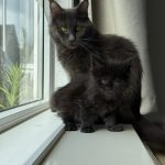 WhatsApp Image 2026-01-04 at 18.21.45