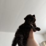 WhatsApp Image 2026-01-04 at 18.21.46 (1)