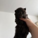 WhatsApp Image 2026-01-04 at 18.21.46